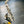 Saxophone alto Selmer Mark VI 1964 N°112568