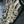 Saxophone alto Selmer Mark VI 1964 N°112568